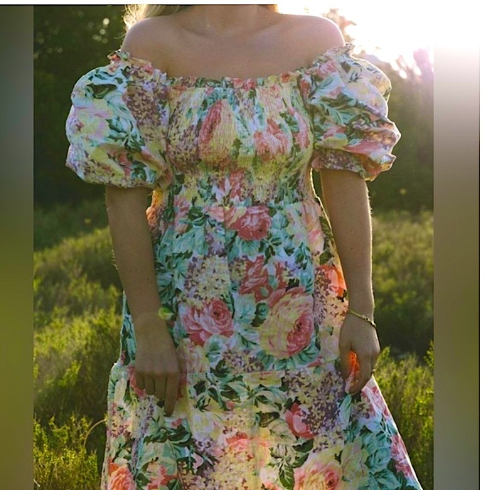 NEW Faithfull the brand Maurelle Dress Venissa Floral US 2 Floral summer boho